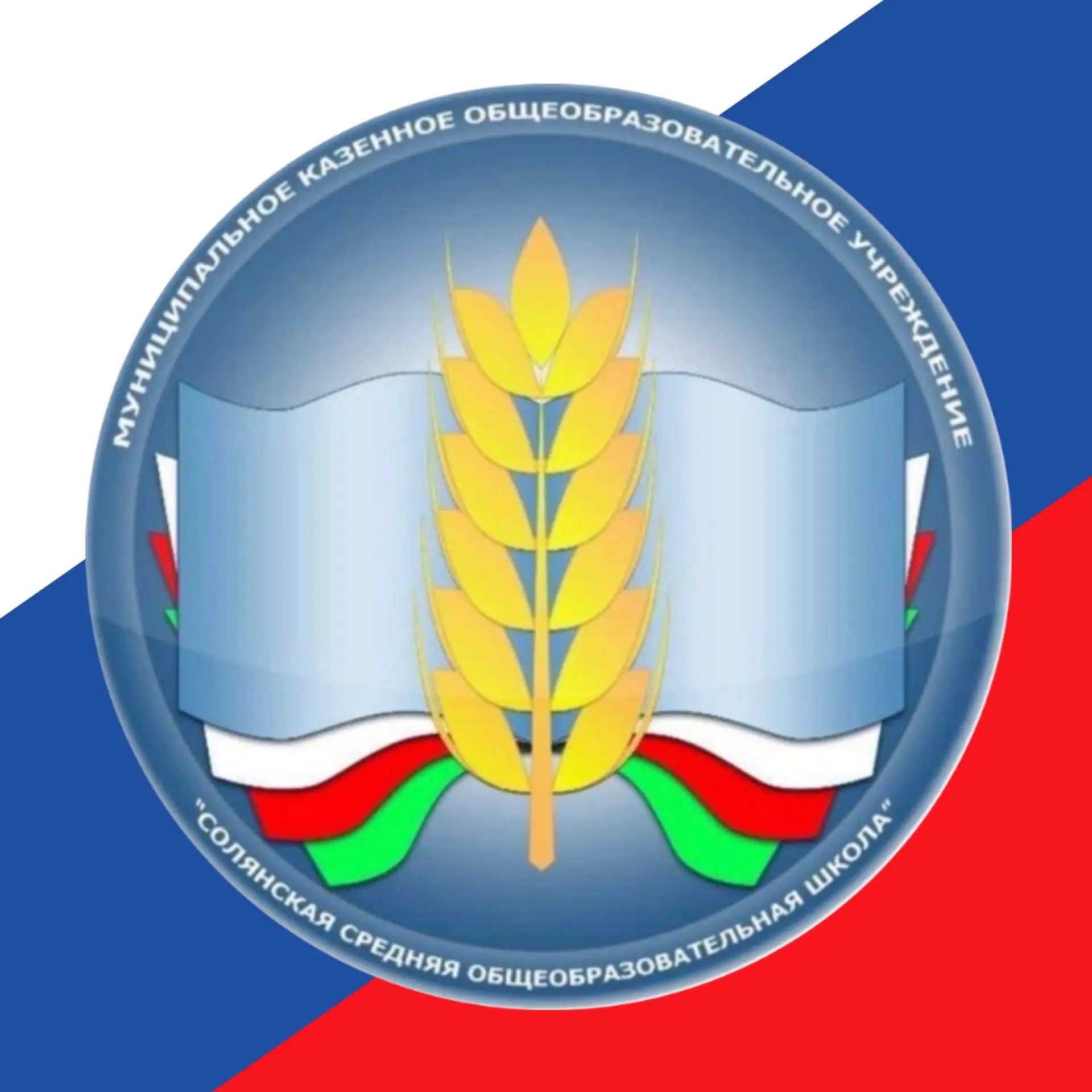 Информационный канал МКОУ «Солянская СОШ»