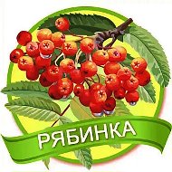 МБДОУ "Детский сад № 155" Рябинка
