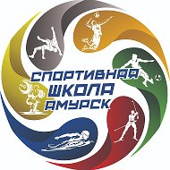 СШ г. Амурск