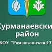 МБОУ "Ромашкинская СОШ"