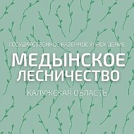 ГКУ КО "Медынское лесничество"