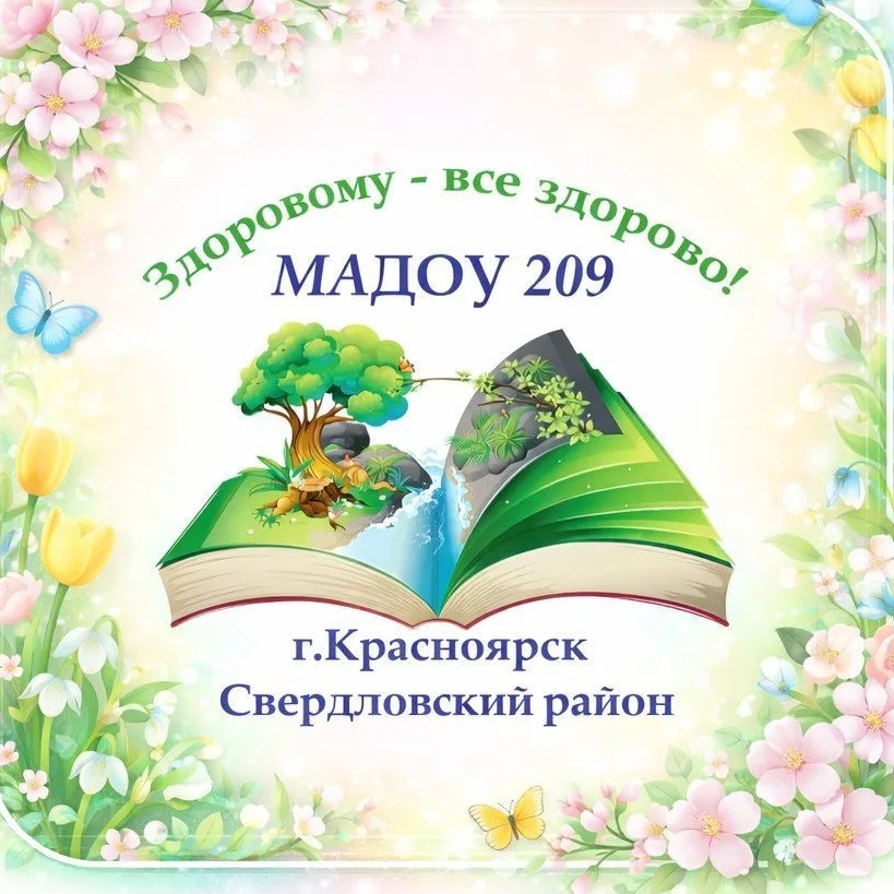МАДОУ № 209