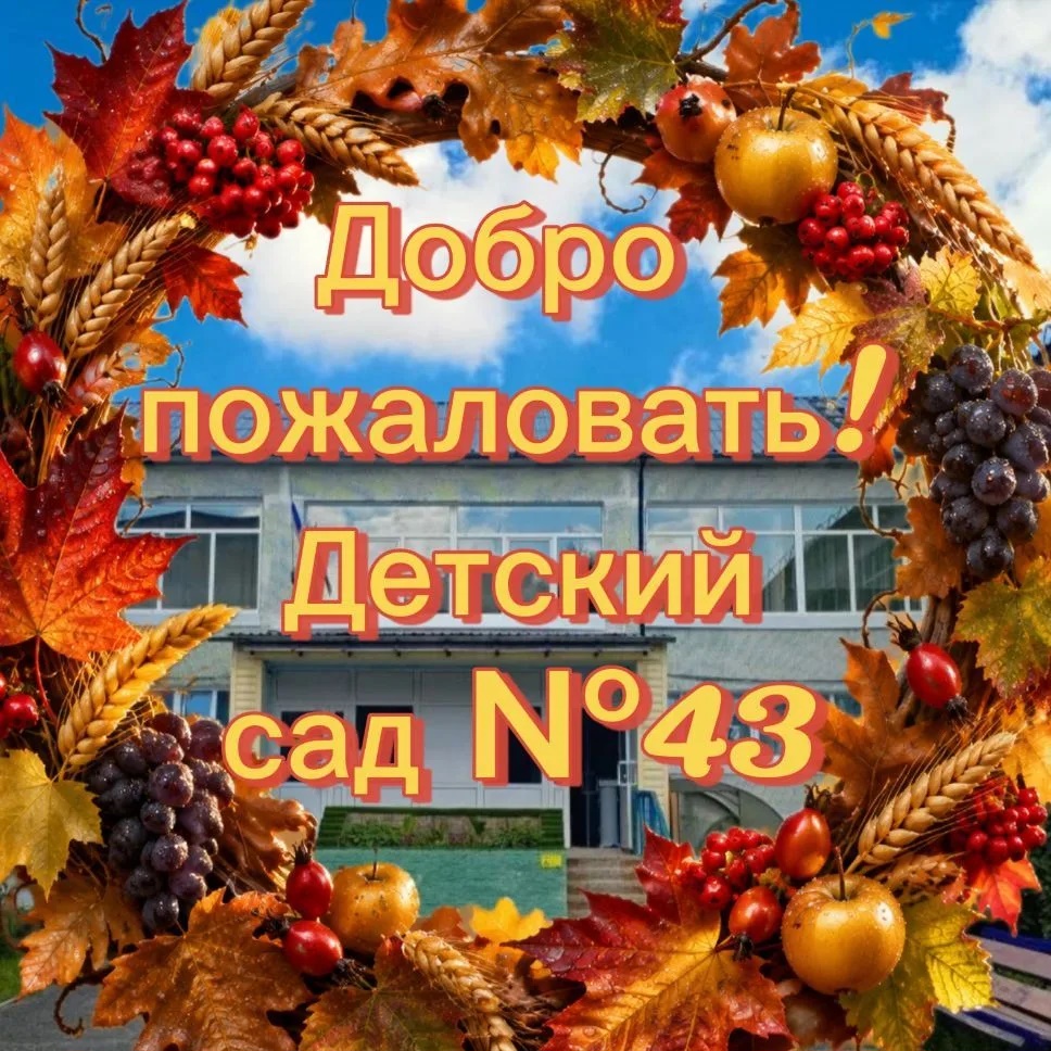 МБДОУ ДЕТСКИЙ САД № 43