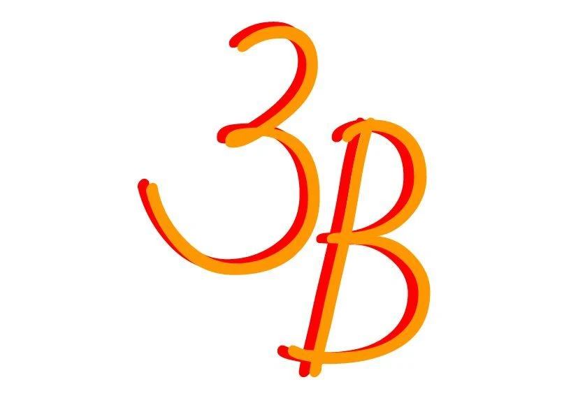 Заневский вестник