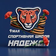 СШ «Надежда» и ФОК п. Новый