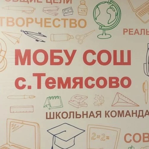 МОБУ СОШ с. Темясово