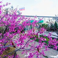 ГРАЧЕВСКАЯ СШ