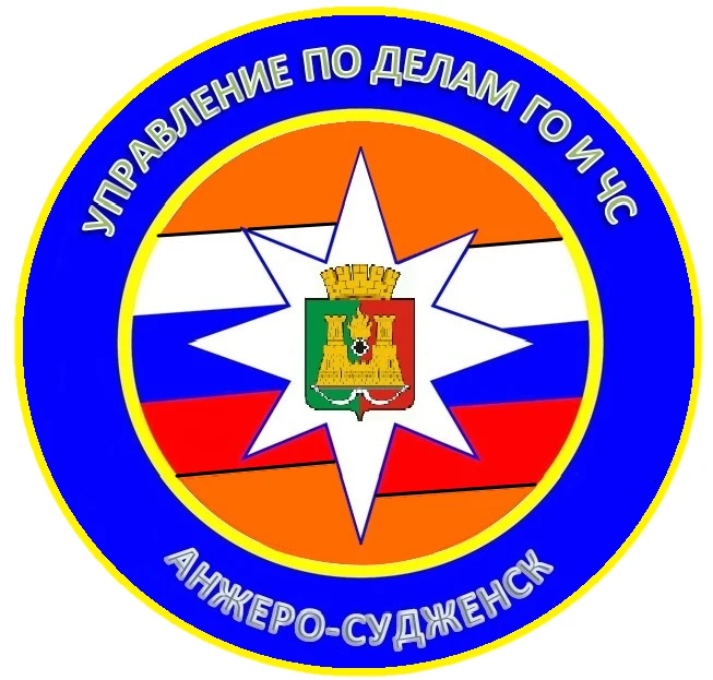 Управление по делам ГО и ЧС АСГО