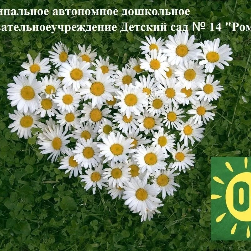 МАДОУ д/с  № 14 "Ромашка"