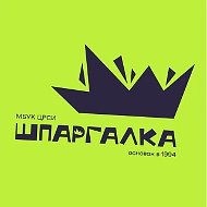 ЦРСИ "Шпаргалка"