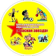МБОУ ДО "Центр "Красная Звезда" г. Калуги