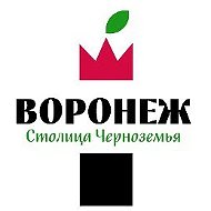 ТИЦ Воронежа