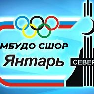 Спортивная школа олимпийского резерва «Янтарь»