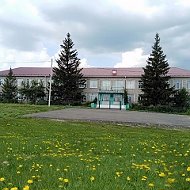 МОУ Фабрично-Выселковская СШ