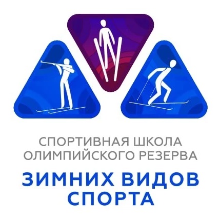 Спортивная школа зимних видов спорта