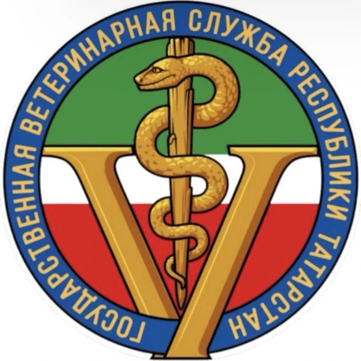 ГБУ "Госветобъединение г.Наб.Челны"