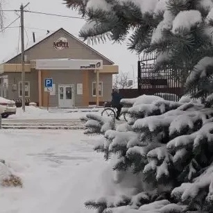 МФЦ Мучкапского муниципального округа
