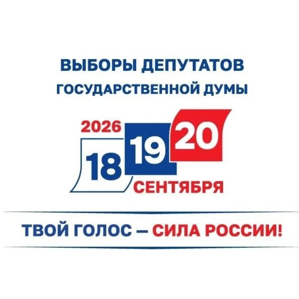 Выборы в НАО