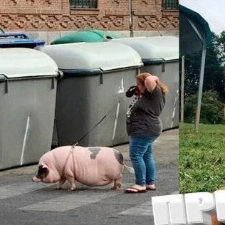 Хиханьки да хаханьки