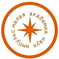 МАН Импульс