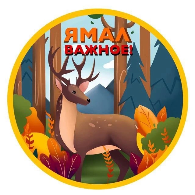 Ямал