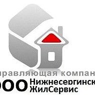 Общество с ограниченной ответственностью "Нижнесергинский ЖилСервис"