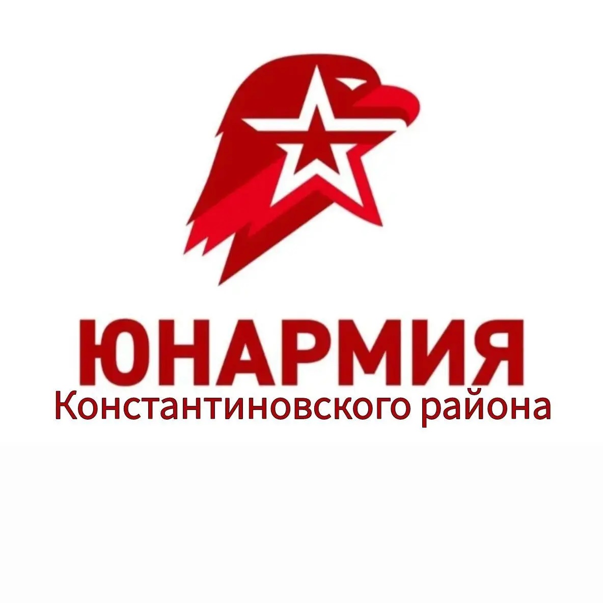 ЮНАРМИЯ Константиновского района