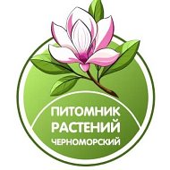 Питомник Растений Черноморский
