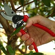 🌳Обрезка и обработка садов🌳
