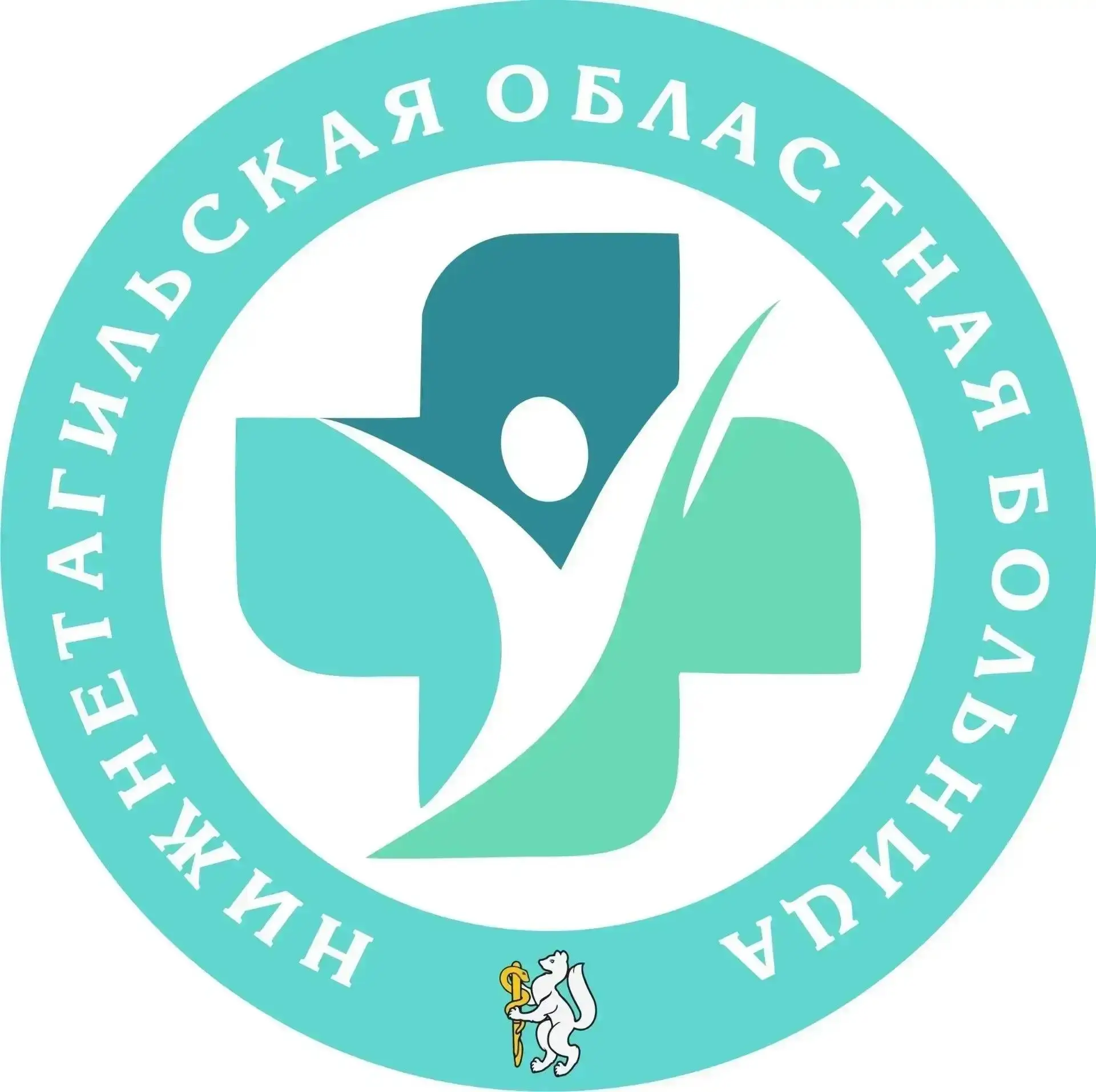 ГАУЗ СО "Нижнетагильская областная больница"