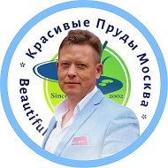 Виктор Суханов Красивые пруды Москва