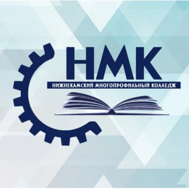 ГАПОУ "Нижнекамский многопрофильный колледж"