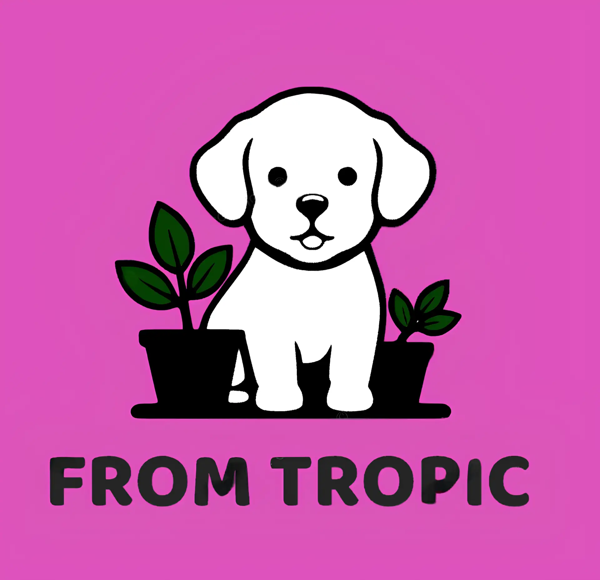 Из тропиков / from tropic