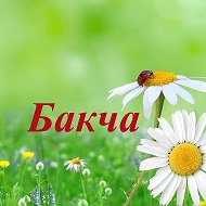 Бакча