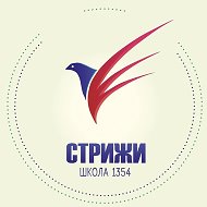 ШСК "СТРИЖИ"