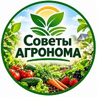 Советы агронома