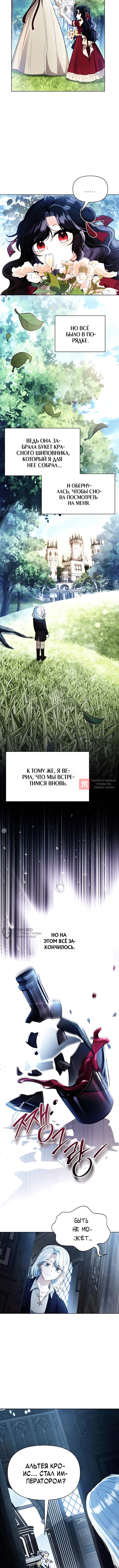Глава 15, Страница 6