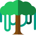 Canopy API