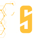 DevSeerAI