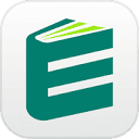 EssayFlow ai
