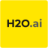 H20 Driverless AI