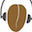 Kaldi Speech Recognition Toolkit