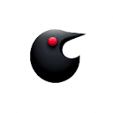 Loon