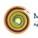Myelin Foundry AI