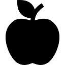 MyLessonPal