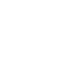 Neurus