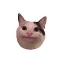Notescast