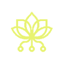Pollinations.AI