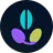RandomSeed Playground