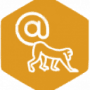 summymonkey